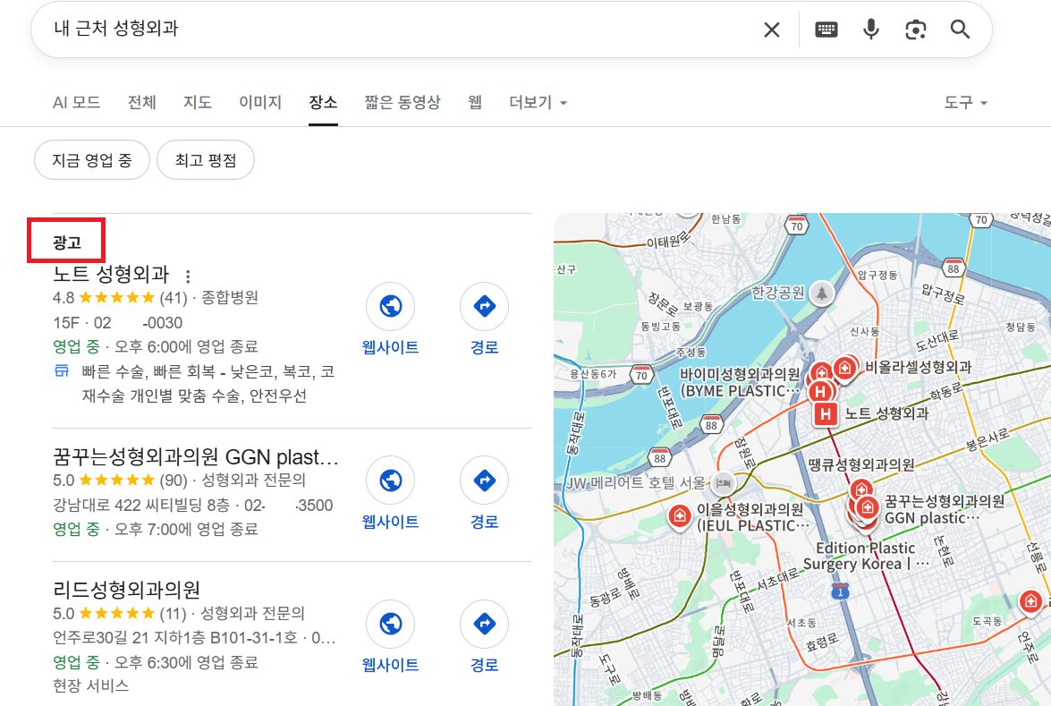 구글맵 검색 노출 예시